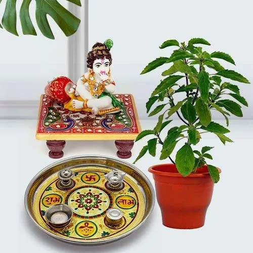 Devotional Puja Gift with Holy Tulsi Plant for Religious Mother