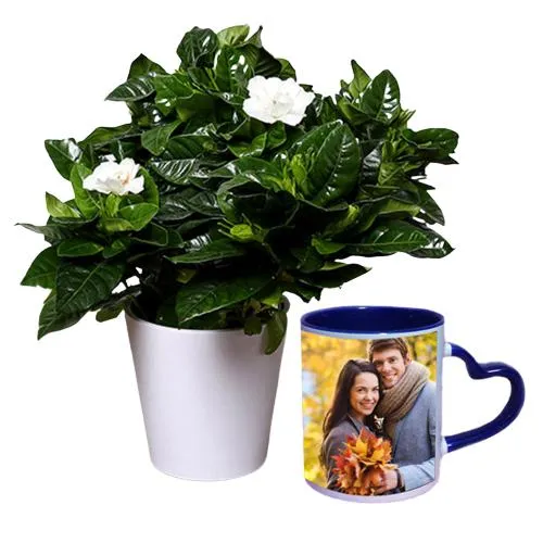 Love Special Jasmine Plant in Customize Mug
