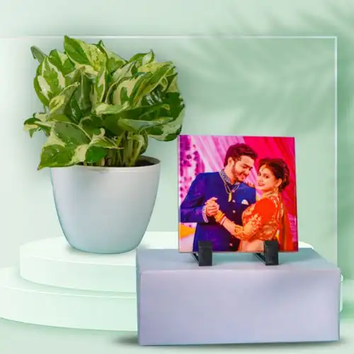 Air Purifying Golden Pothos Plant n Personalize Tile Duo
