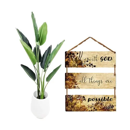 Lovely Travellar Palm Plant N Wall N Room Decor Hanging Combo