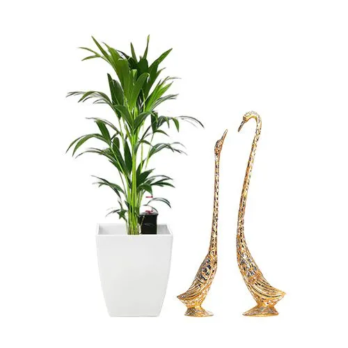 Air Purifying Kentia Palm Plant with Metal Love Birds Figurine Combo