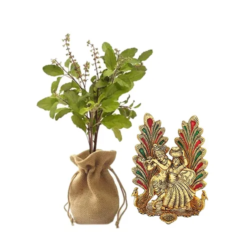 Lovely Jute Wrapped Tulsi Plant N Metal Radha Krishna Idol Combo Gift
