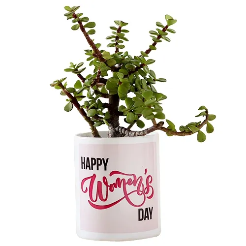 Charming Jade Plant with Customize Coffee Mug Combo Gift
