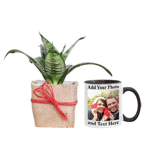 Wonderful Jute Wrapped Snake Plant N Customize Coffee Mug Combo