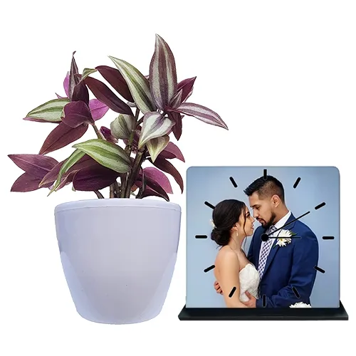 Distinctive Combo of Inch Plant N Personalized Photo Table Clock