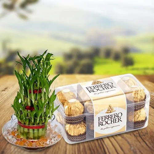 Send 2 Tier Luck Bamboo Plant with Ferrero Rocher Chocolates Pack