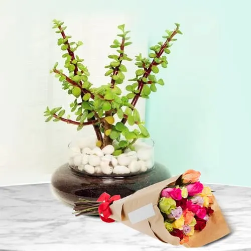 Botanical Jade Plant in Glass Planter with Colorful Roses Bouquet<br>