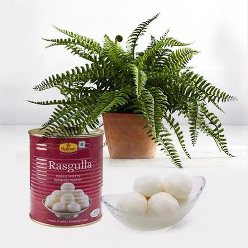 Fascinating Air Purifier Live Plant N Rasgulla Combo