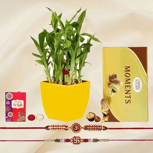 Gaudy Collection of Rakhis N 2 Tier Bamboo Plant