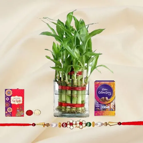 Pious Arrangement of Rakhi with 2 Tier Bamboo Plant