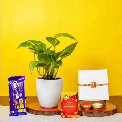 Ganesha Rakhi N Cadbury with Money Plant