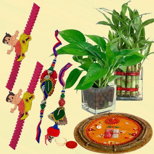 Twin Indoor Plants for Good Wishes with Family Set Rakhi