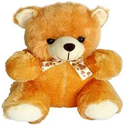 Order Teddy Bear Soft Toy