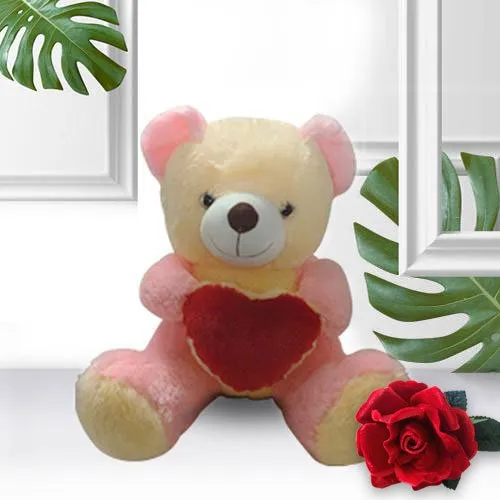Love Teddy With Heart (16 inches) with a Velvet Red Rose