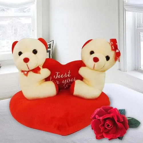 Attractive Couple Teddy with Sweet Love