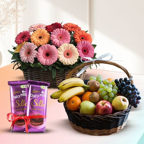 Order Gerberas Arrangement with Dairy Milk Silk and Mixed Fruits Basket