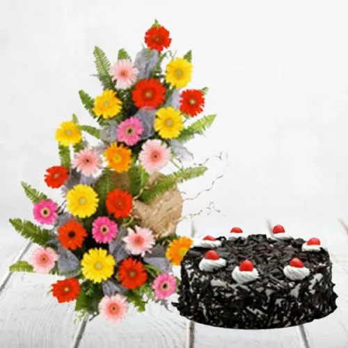Delicious Black Forest Cake with 25 Mixed Gerberas Basket