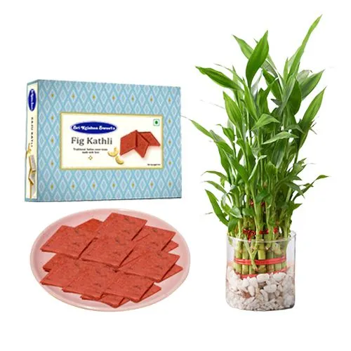Sri Krishna Sweets Fig Kathli with Lucky Bamboo Plant