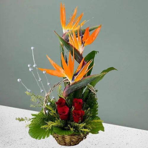 Floral Fiesta of Exotic Flowers