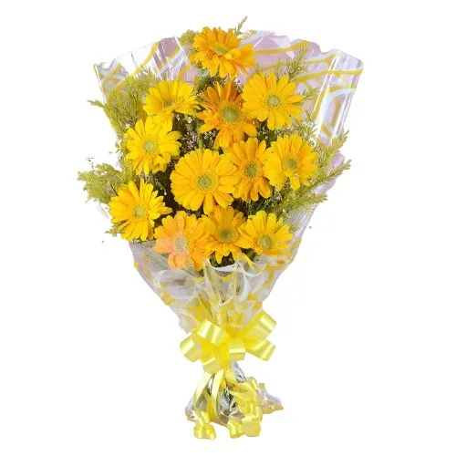 Artistic Composition of One Dozen Gerberas