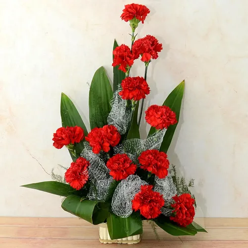 Classic One Dozen Carnations Celebration Bouquet