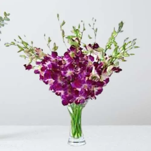Glamorous Purple Orchids n Gladiolus in Vase