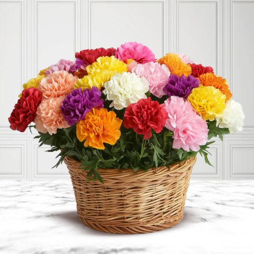 Artistic 30 Mixed Carnations in a Beautiful Bouquet