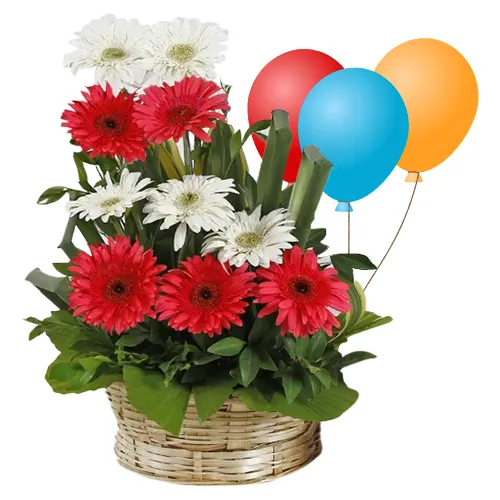 Expressive Sunshine Mixed Gerberas Bouquet and Balloons