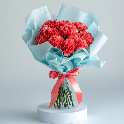 Designed Presentation of Red Carnations