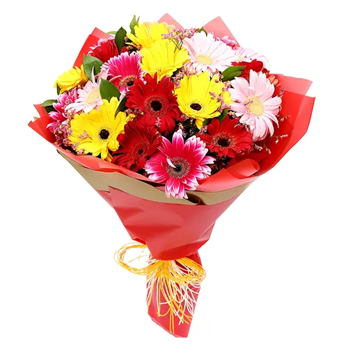 Sunny Display ofMixed Gerberas