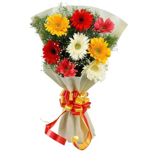 Striking 15 Mixed Color Gerberas Bunch
