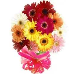 Tender Assemble of Fifteen Mixed Gerberas