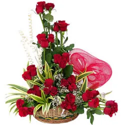 Striking Arrangement of Dutch Red Roses
