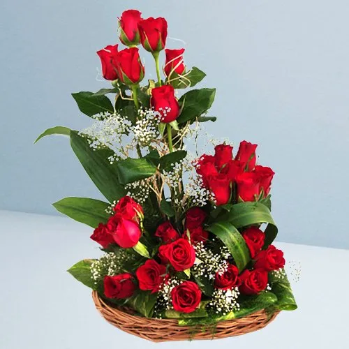 Flowering Basket Arrangement of 25 Dutch Red Roses
