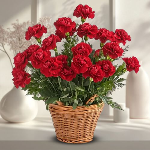 Passionate Full of Love Red Colour Carnations Arrangement