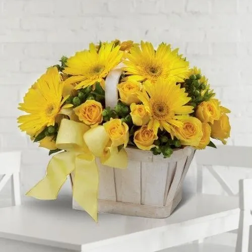 Nurtured Novelty Gerberas and Roses Arrangement