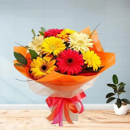 Cultivating Comeliness Gerberas Bouquet