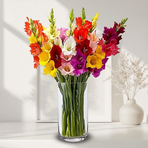 Striking Mix-Color Gladiolus in a Glass Vase