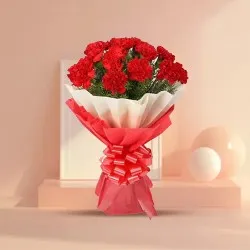 You can shop online for an elegant Hand Bouquet of Red Carnations in Tissue Wrapping