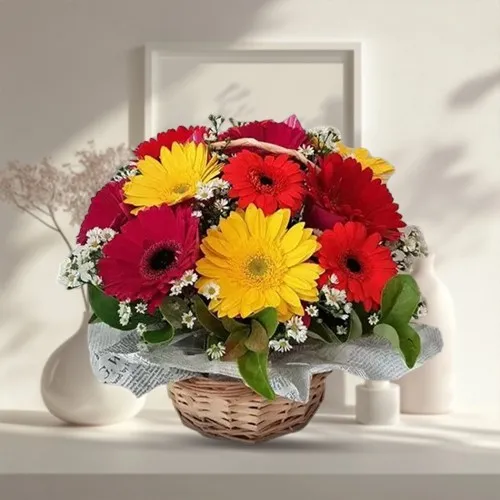 Lovely Arrangement of One Dozen Mixed Gerberas