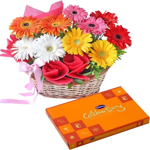 Delicious Cadbury Celebration Pack with Tender Basket Arrangement of Colorful Gerberas