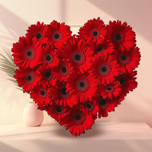 Striking Heart Shape Arrangement of Two Dozen Red Gerberas