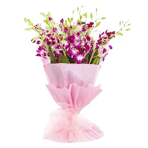 Exquisite Bunch of Orchids