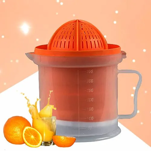 Elegant Sarvadeshi Hand Press Manual Fruit Juicer