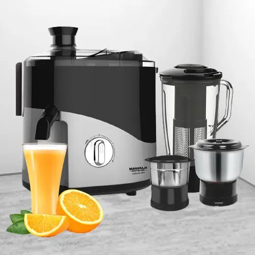 Terrific Maharaja Whiteline 3 Jars Juicer Mixer Grinder in Black n Silver