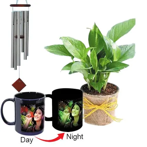 Lovely Personalized Photo Radium Mug with Money Plant N Wind Chime