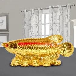 Amazing Golden Arowana Fish