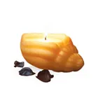 Superb IRIS Sea Shell Candle Set