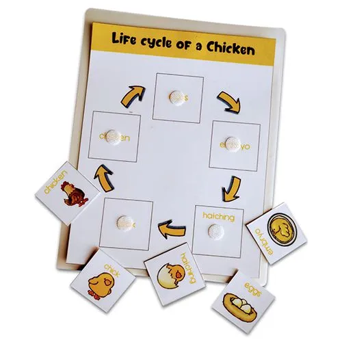 Little Biologists Activity Mat