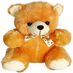 big teddy bear shop in chennai